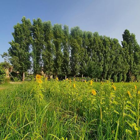 Apartmán Fattoria Il Giardo Pietrasanta Exteriér fotografie