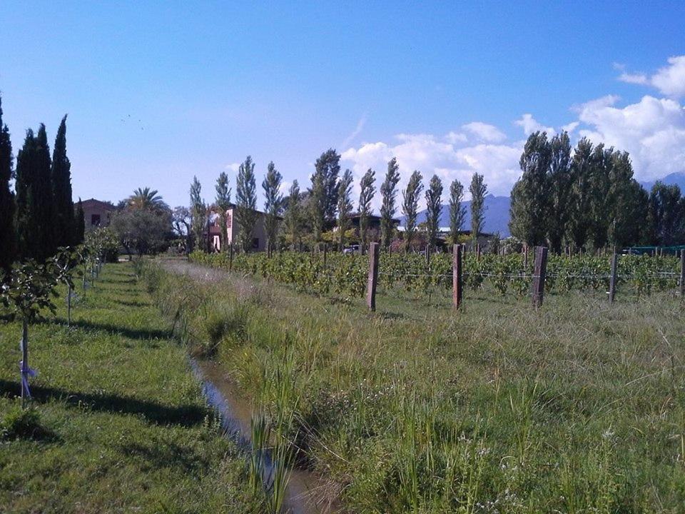 Apartmán Fattoria Il Giardo Pietrasanta Exteriér fotografie