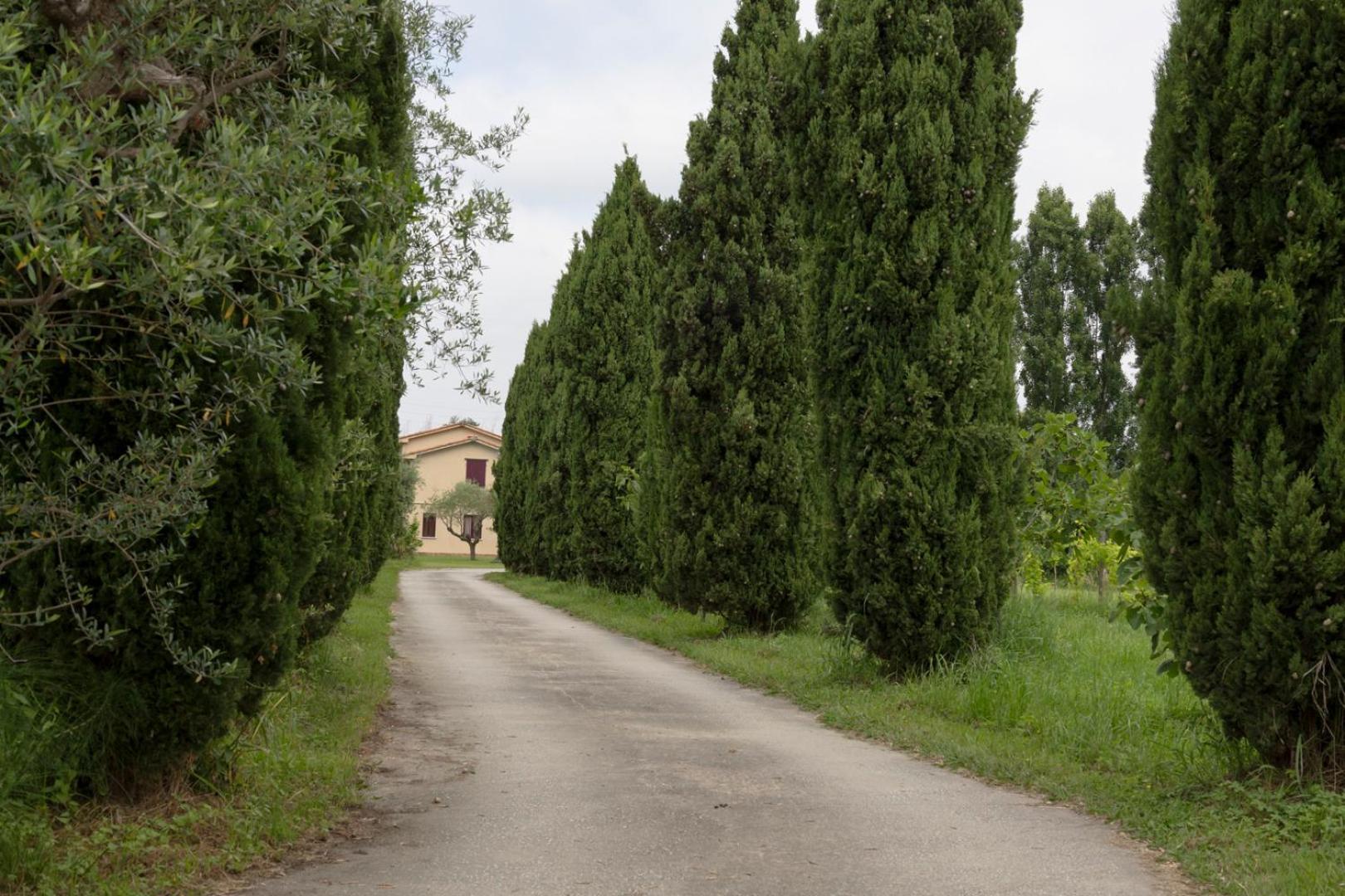 Apartmán Fattoria Il Giardo Pietrasanta Exteriér fotografie