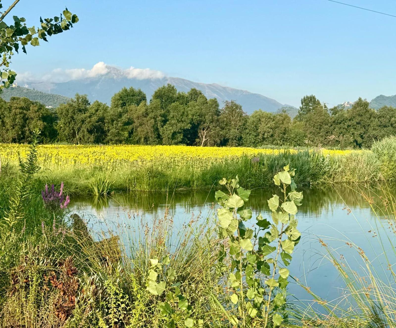 Apartmán Fattoria Il Giardo Pietrasanta Exteriér fotografie