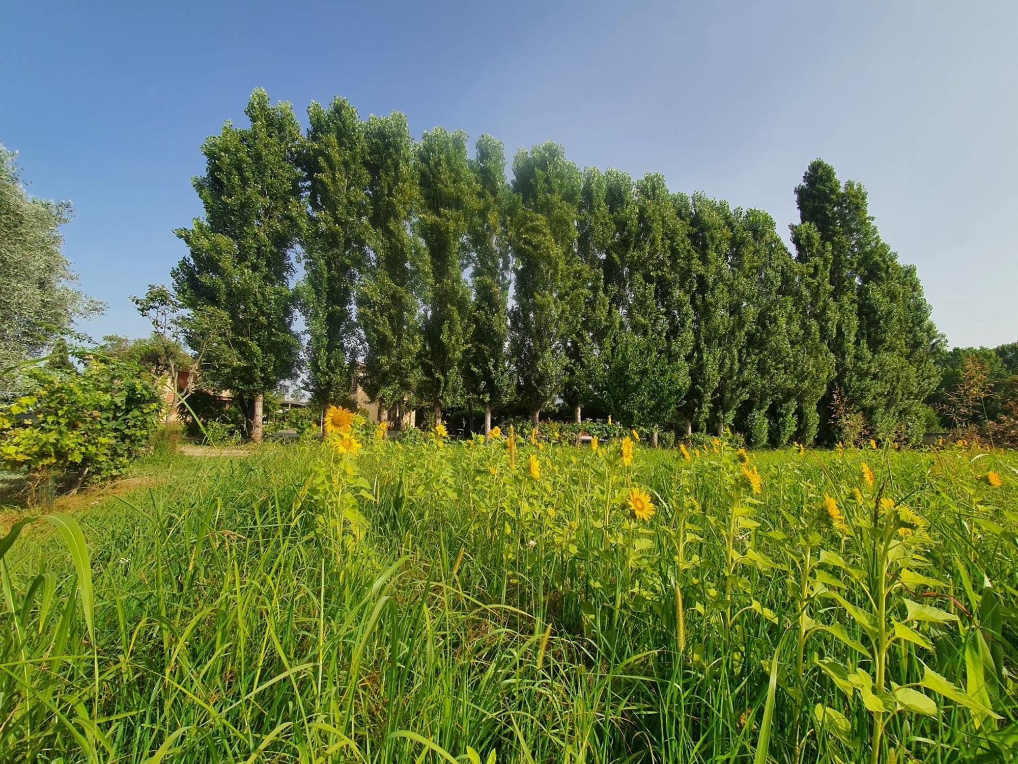 Apartmán Fattoria Il Giardo Pietrasanta Exteriér fotografie