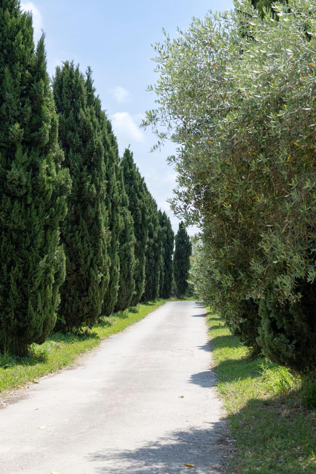 Apartmán Fattoria Il Giardo Pietrasanta Exteriér fotografie